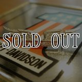 Harley Davidson/wing