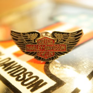 画像1: Harley Davidson/B&S/WING