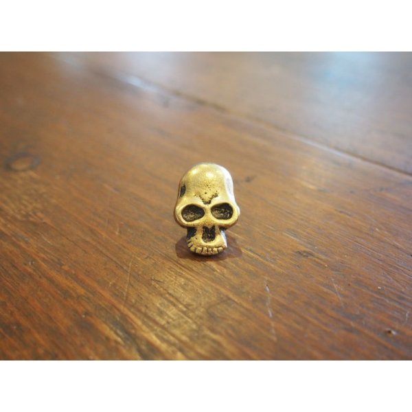 画像1: Skull/Gold/BIG (1)