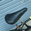 画像4: SCHWINN THRASHER/BLACK (4)