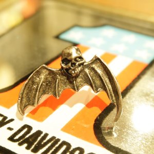 画像: Bat Wing Skull